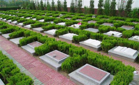攀植物 土葬 墓地